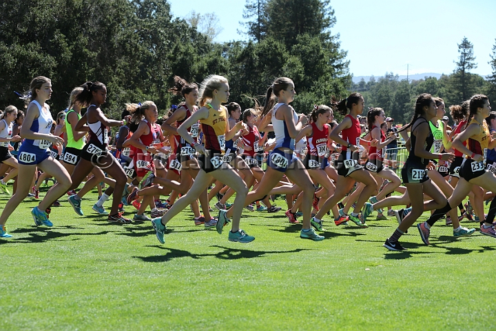 2015SIxcHSD2-114.JPG - 2015 Stanford Cross Country Invitational, September 26, Stanford Golf Course, Stanford, California.